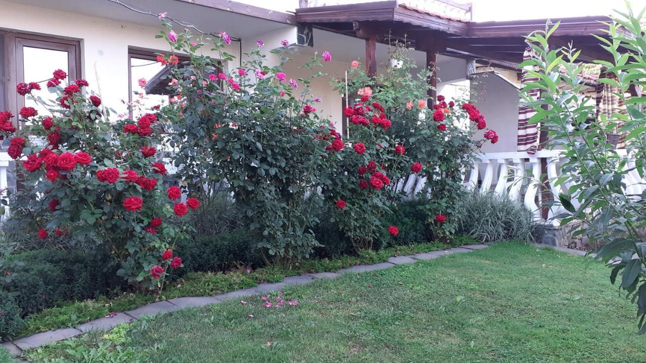 Guesthouse Dida Sapareva Banya Dış mekan fotoğraf