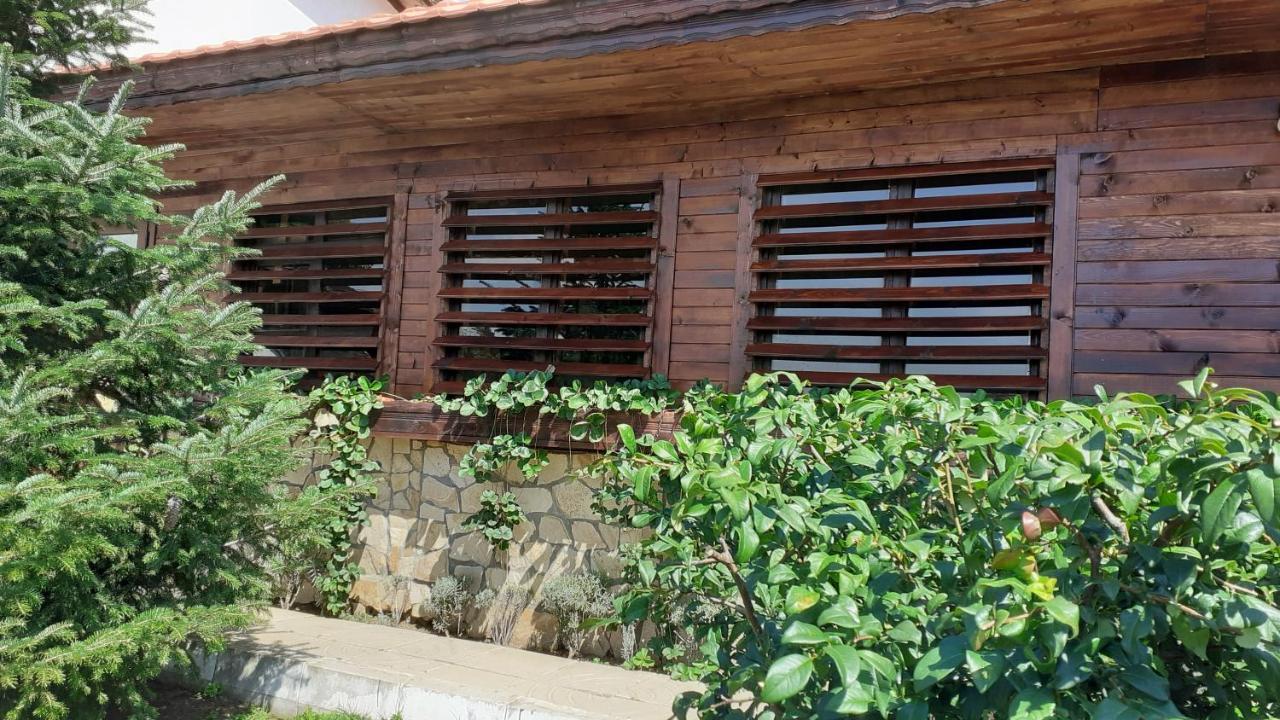 Guesthouse Dida Sapareva Banya Dış mekan fotoğraf