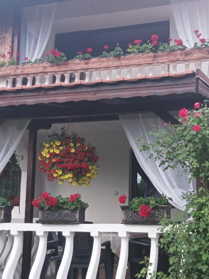 Guesthouse Dida Sapareva Banya Dış mekan fotoğraf