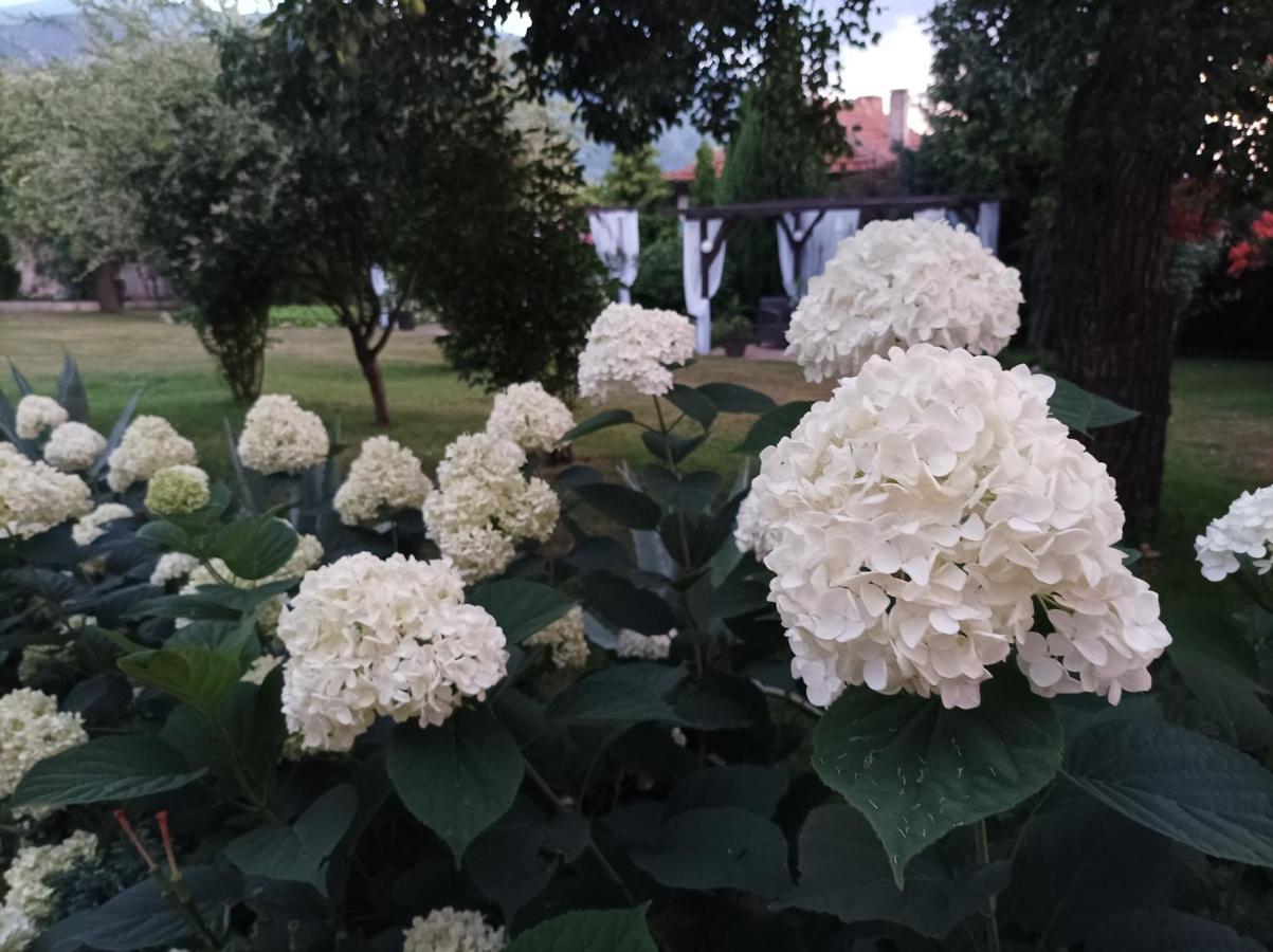 Guesthouse Dida Sapareva Banya Dış mekan fotoğraf