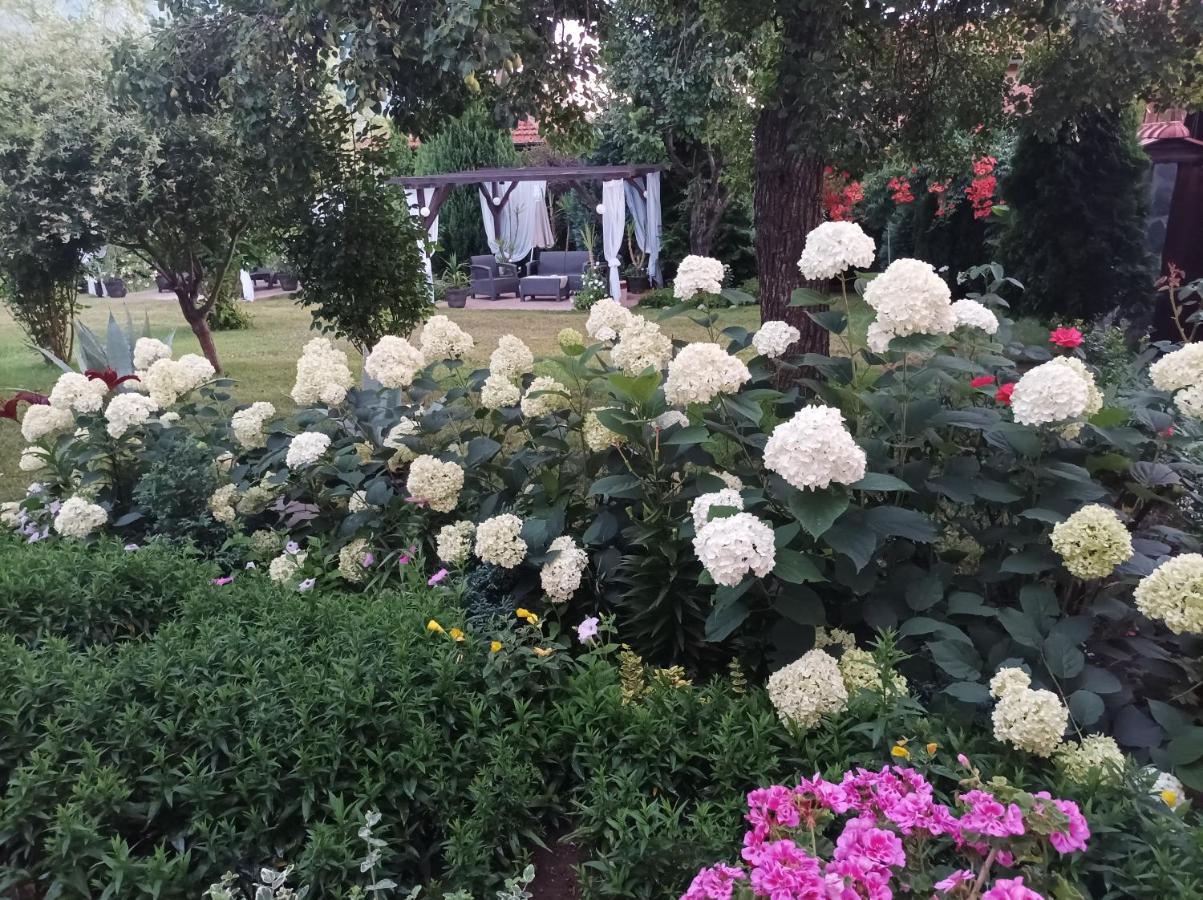 Guesthouse Dida Sapareva Banya Dış mekan fotoğraf